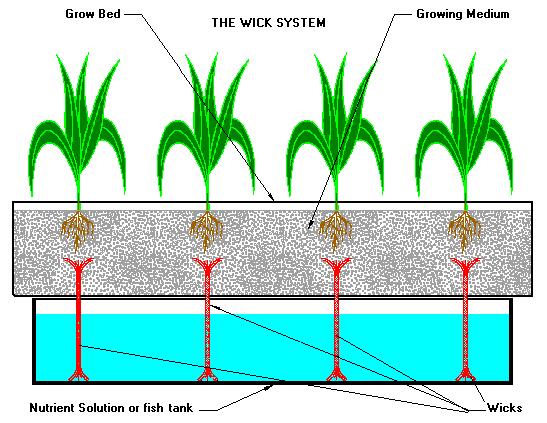 TheWick System is probably the simplest hydroponic system.